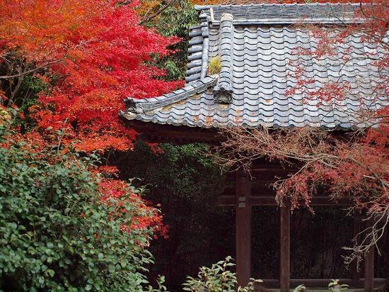 Guest House Hana Ōtsu Exteriör bild